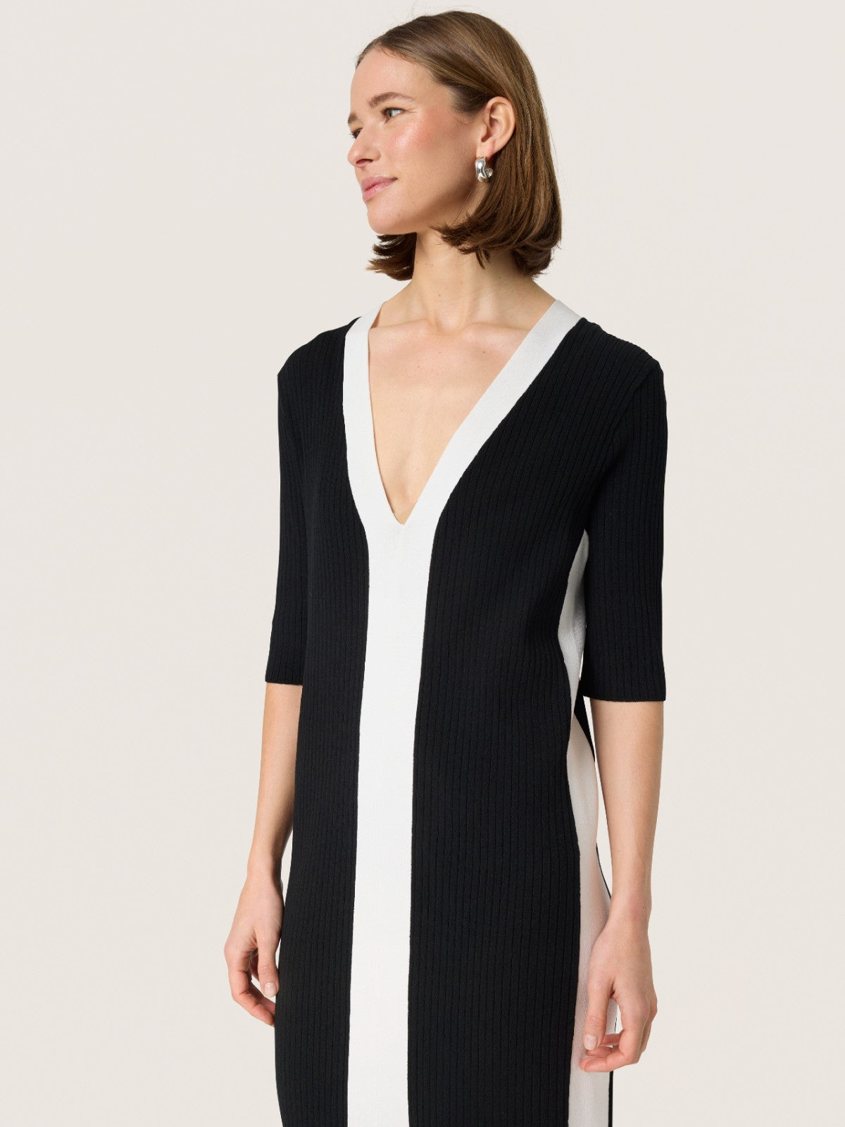 Lidya Block Dress