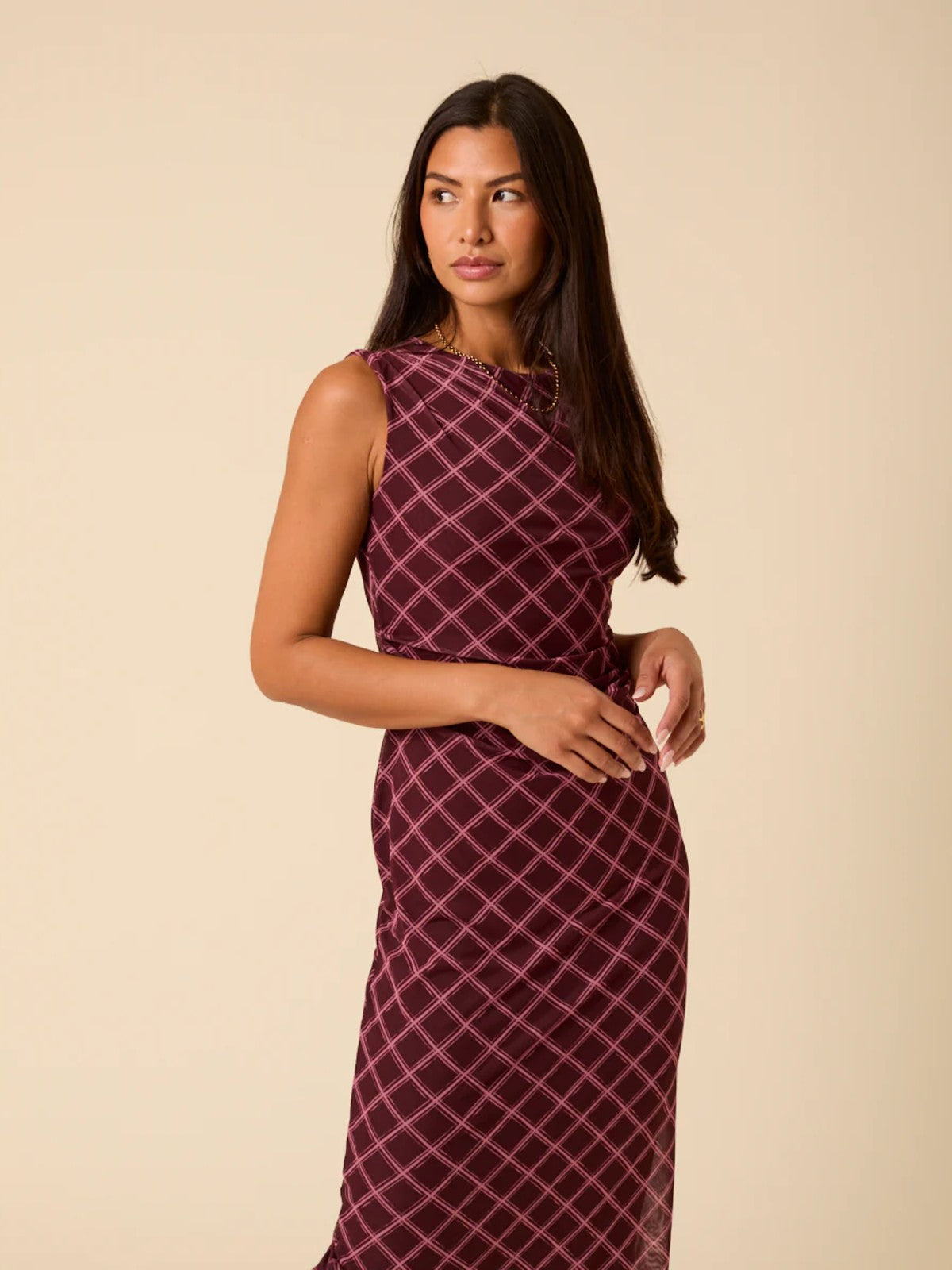 Burgundy Mesh Dress