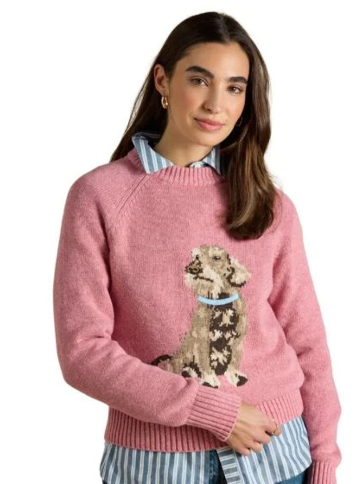 Dachsund Jumper