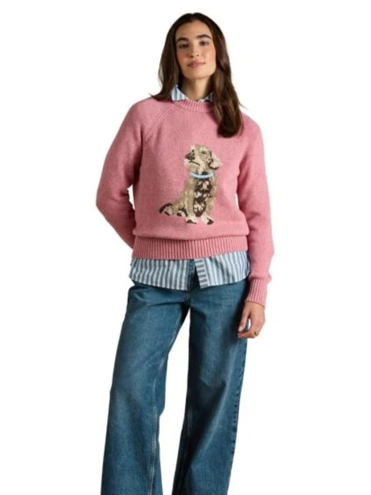 Dachsund Jumper