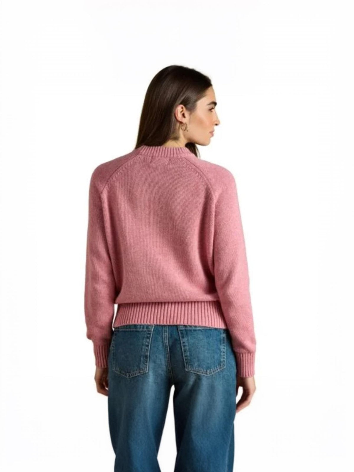 Dachsund Jumper