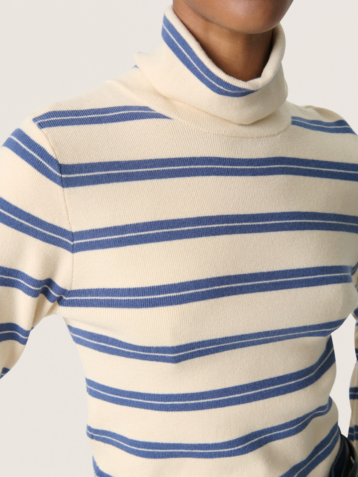 Spina Striped Rollneck