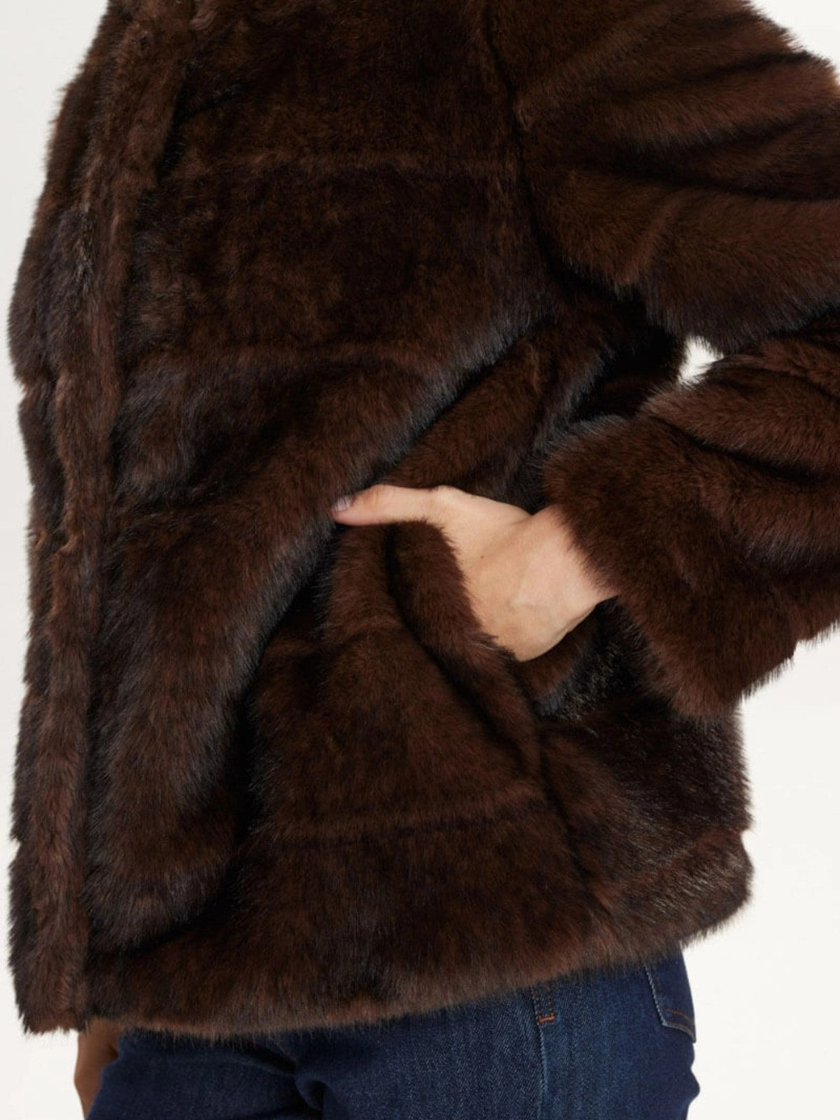 Windall Jacket